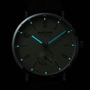 SEESTERN Ultra-Thin Automatic Watch — ST1701 Movement, Sapphire Crystal, Waterproof